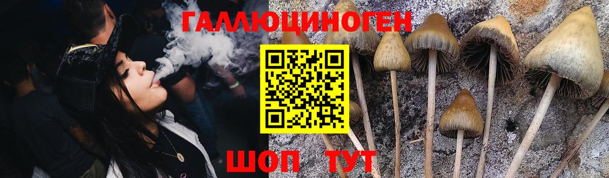купить  цена  Галлюциногенные грибы Cubensis  Псилоцибиновые грибы Cubensis  Вход с VPN  Нурлат 